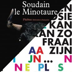 Soudain le Minotaure, Marie-Hélène Poitras (fragment, 2016)